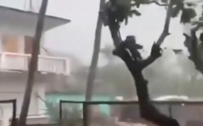 *Alerta máxima en Filipinas, Taiwán y China por el supertifón «Ragasa»