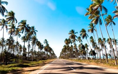 El Camino de la Felicidad»: una postal perfecta en las costas de Falcón