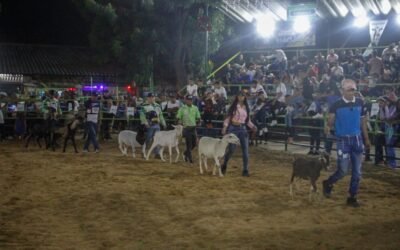 ExpoFalcón 2025: Un Éxito «Espectacular» que Impulsa el Compromiso con la Excelencia Ferial